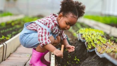 آیا خاک‌بازی برای سیستم ایمنی کودکان مفید است؟