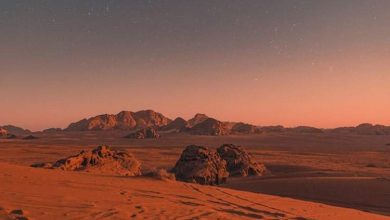 آیا عنکبوت‌های غول‌پیکر در مریخ وجود دارند؟