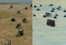 ارتش سوسک‌های رباتیک مجهز به کوله‌پشتی رایانه‌ای در بیابان [تماشا کنید]