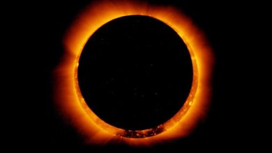 افت چشمگیر ترافیک اینترنت آمریکا همزمان با خورشیدگرفتگی ۲۰۲۴