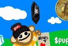 افزایش ۲۰ درصدی قیمت میمکوین جدید شبکه بیت کوین!