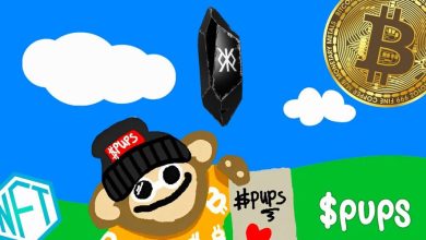 افزایش ۲۰ درصدی قیمت میم‌کوین جدید شبکه بیت کوین!