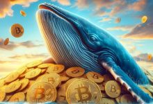 اقدام عجیب نهنگ ناشناس در آستانه هاوینگ؛ ۱۶ هزار BTC به بایننس ارسال شد!