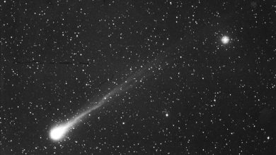 امروز در فضا: نزدیکی هالی به زمین