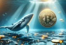 انتقال ۱ میلیارد دلار استیبلکوین به کوینبیس توسط نهنگها؛ سیگنال خریدی بزرگ؟!