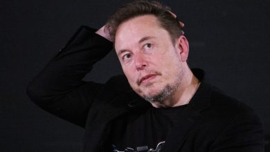 ایلان ماسک بیش‌ از ۱۰ درصد کارمندان تسلا را اخراج می‌کند