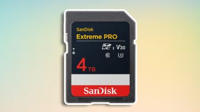 این کارت حافظه کوچک ۴ ترابایت ظرفیت ذخیره‌سازی دارد