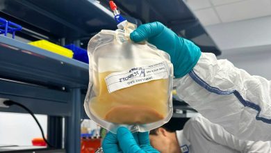 این کیسه از سلول‌ها می‌توانند کبد جدید درون بیماران رشد دهند