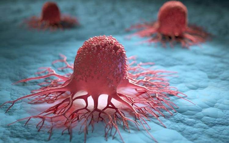 با این فناوری انقلابی می‌توان درون سلول‌های سرطانی را مشاهده کرد!
