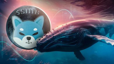 بازار شلوغ شیبا در هیاهوی بلاکچین لایه ۳ جدید؛ نهنگها در حال انباشت هستند!