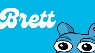 برت، میم‌کوینی با پتانسیل رشد انفجاری ۱۰۰ برابری در می ۲۰۲۴!