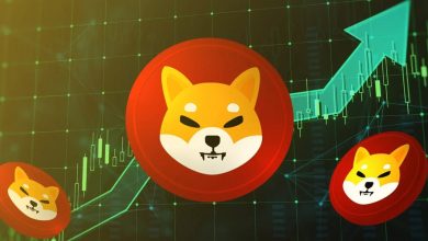 تأثیر هاوینگ بیت کوین بر قیمت شیبا اینو؛ احتمال رالی صعودی چقدر است؟