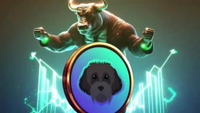 تداوم رالی صعودی میم‌کوین‌های سولانا؛ مایرو دوباره به میدان رقابت بازگشت!