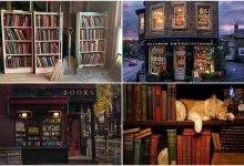 تصاویری که عاشقان کتاب را سر ذوق می‌آورد