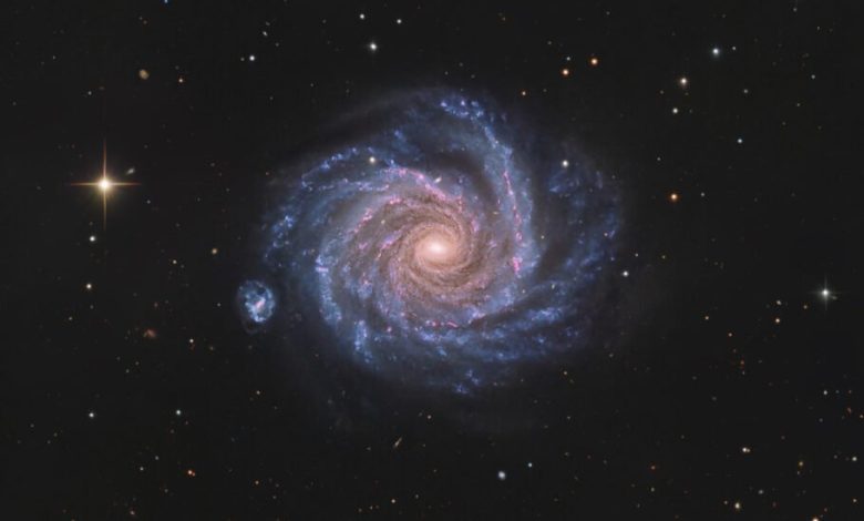 تصویر روز ناسا: روبه‌روی NGC 1232