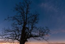 تصویر روز ناسا: سیارات در اطراف گرفتگی کامل