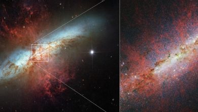 تصویر روز ناسا: کهکشان سیگار از هابل و وب