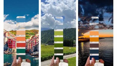 تفسیر جهان با الفبای رنگ‌ها؛ عکس‌هایی که آرامش را به شما تزریق می‌کنند