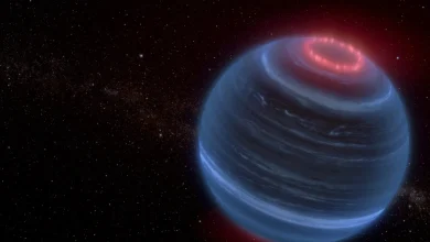 تلسکوپ جیمز وب نشانه‌های قمر فراخورشیدی را در اطراف ستاره‌ای ناکام آشکار کرد