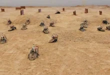 تماشا کنید: سوسک‌های سایبورگ کوله بردوش با کامپیوتر هدایت می‌شوند