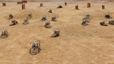 تماشا کنید: سوسک‌های سایبورگ کوله بردوش با کامپیوتر هدایت می‌شوند