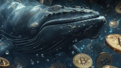 جابه‌جایی بیت‌کوین‌های ۱۴ ساله در بازار؛ نهنگ دوران ساتوشی از خواب بیدار شد!