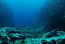 خارقالعادهترین اکتشافات در دل دریاها؛ از خوک باربی تا گوی طلا و مارماهی کور ژلاتینی