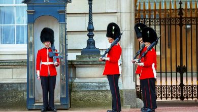 دارپا بریتانیا روی پروژهای برای کنترل سیستمهای هوش مصنوعی کار میکند