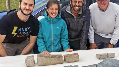 دختربچه ۱۱ ساله بریتانیایی فسیل بزرگ‌ترین خزنده دریایی جهان را پیدا کرد