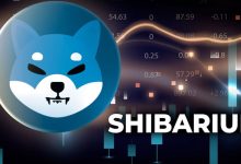 رشد حیرت‌انگیز تعداد تراکنش‌های شیباریوم! قیمت SHIB رالی دیگری را آغاز می‌کند؟