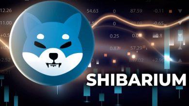 رشد حیرت‌انگیز تعداد تراکنش‌های شیباریوم! قیمت SHIB رالی دیگری را آغاز می‌کند؟
