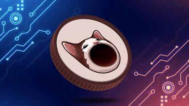 رشد ۲۰۰ درصدی قیمت پاپکت طی یک هفته؛ آیا زمان فروش فرا رسیده است؟