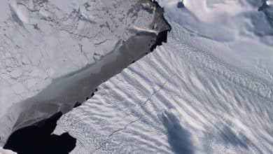 ساخت دیوارهای مصنوعی درمقابل یخچالهای طبیعی، جنوبگان را نجات میدهد؟