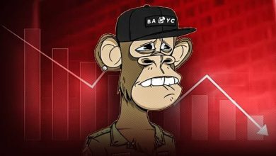 سقوط ۹۰ درصدی قیمت میمون‌های کسل! چه چیزی در انتظار بازار NFTها است؟