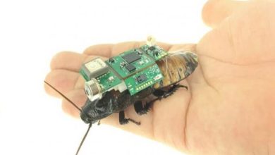 سوسک‌های رباتیک ناجی انسان‌ها در زمان وقوع بلایای طبیعی