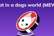 شنای میم‌کوین‌های گربه‌ای در خلاف جهت بازار؛ قیمت میو ۱۰ درصد افزایش یافت!