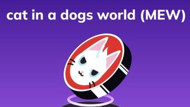 شنای میم‌کوین‌های گربه‌ای در خلاف جهت بازار؛ قیمت میو ۱۰ درصد افزایش یافت!