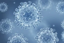 عفونت کووید مردی هلندی آن‌قدر طولانی بود که ویروس درون او به گونه‌ای جدید تکامل یافت