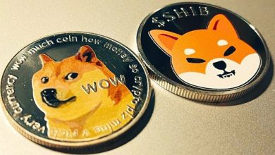 قیمت شیبا اینو و دوج کوین در حال سقوط! چه چیزی در انتظار این دو میم کوین است؟