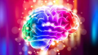 محققان: استفاده بیشتر از مغز در حین کار، با کاهش ریسک بروز اختلالات شناختی رابطه دارد