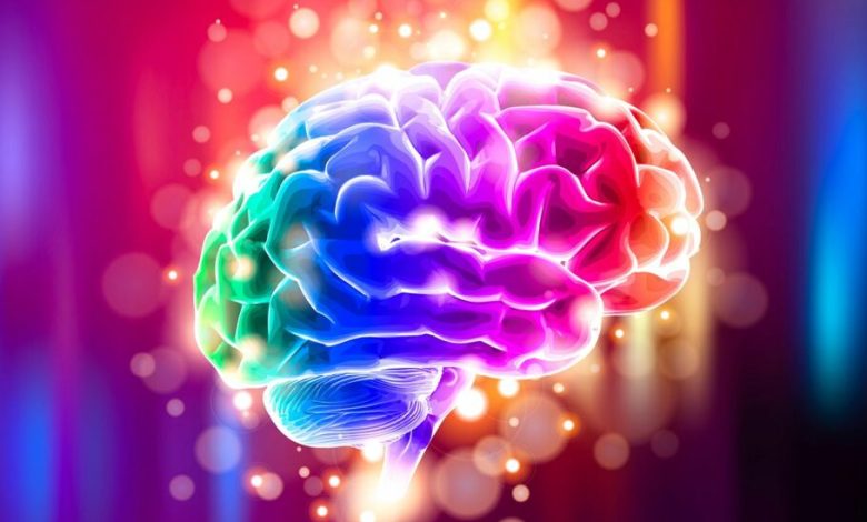 محققان: استفاده بیشتر از مغز در حین کار، با کاهش ریسک بروز اختلالات شناختی رابطه دارد