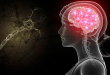 محققان: میزان اسیدی بودن مغز می‌تواند با اختلالات عصبی و مشکلات روان‌شناختی ارتباط داشته باشد