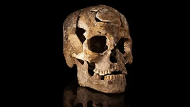 مردم پیش از اختراع خمیردندان چگونه دندان‌هایشان را تمیز می‌کردند؟