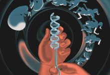 مطالعه جدید: ژن‌های قدرت می‌توانند از ما در برابر بیماری و مرگ زودرس محافظت کنند