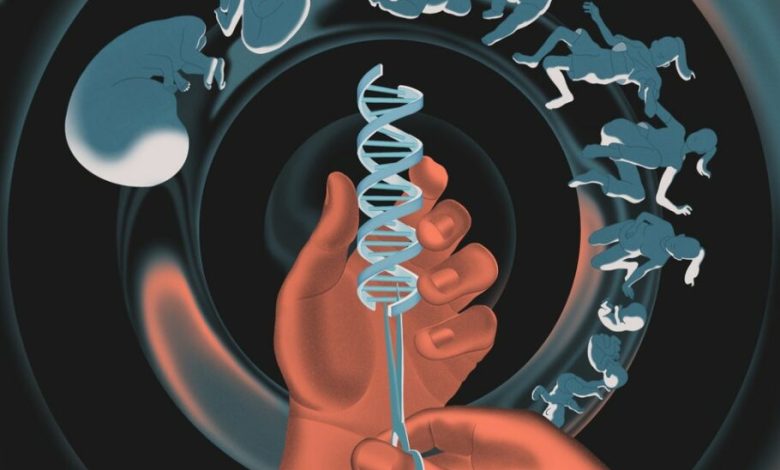 مطالعه جدید: ژن‌های قدرت می‌توانند از ما در برابر بیماری و مرگ زودرس محافظت کنند