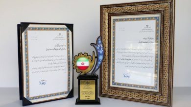 معرفی رایتل برای دومین بار به‌عنوان کارفرمای برتر سلامت‌محور