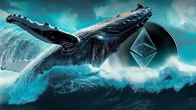 نهنگ قدیمی اتریوم بعد از ۹ سال فعال شد! چه کسی پشت این آدرس مرموز است؟