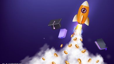 نوبیتکس، پیشگام در آموزش و آگاهی کاربران دنیای رمزارز