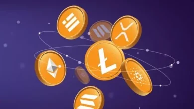 نگاهی به آلت‌کوین‌ها در سالروز خلق «نیم کوین»؛ فصل جایگزین‌های بیت کوین