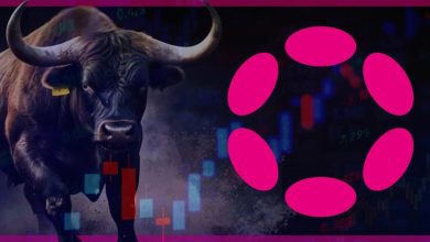 پیش‌بینی رشد انفجاری پولکادات توسط تحلیلگران مطرح بازار! هدف قیمت DOT کجاست؟